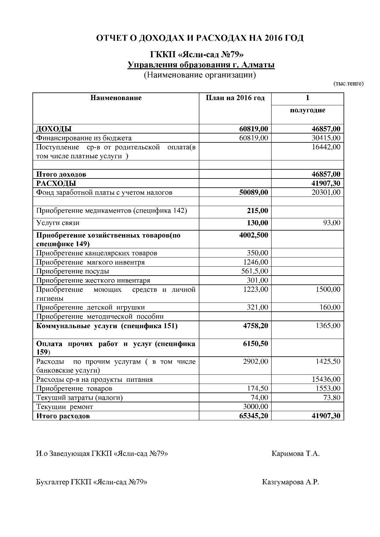 Отчет о доходах и расходах за 1 полугодие 2016 г.