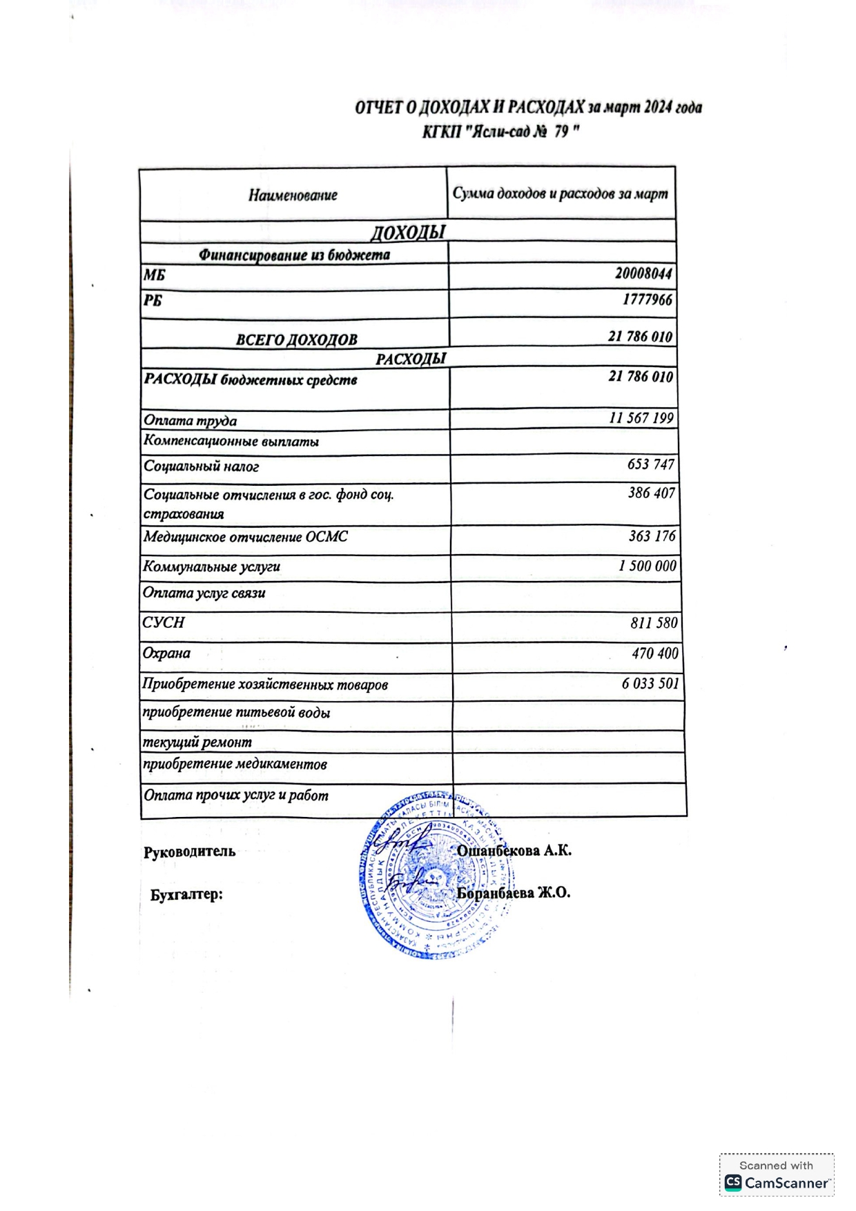 Отчет о доходах и расходах 2024 год