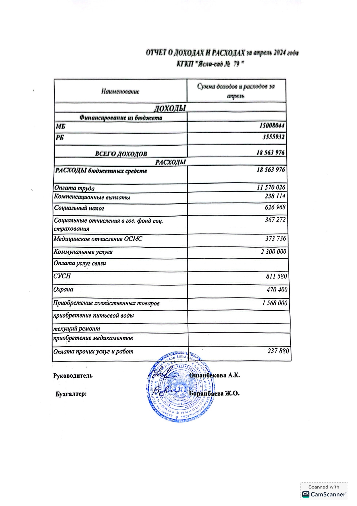 Отчет о доходах и расходах  2024год