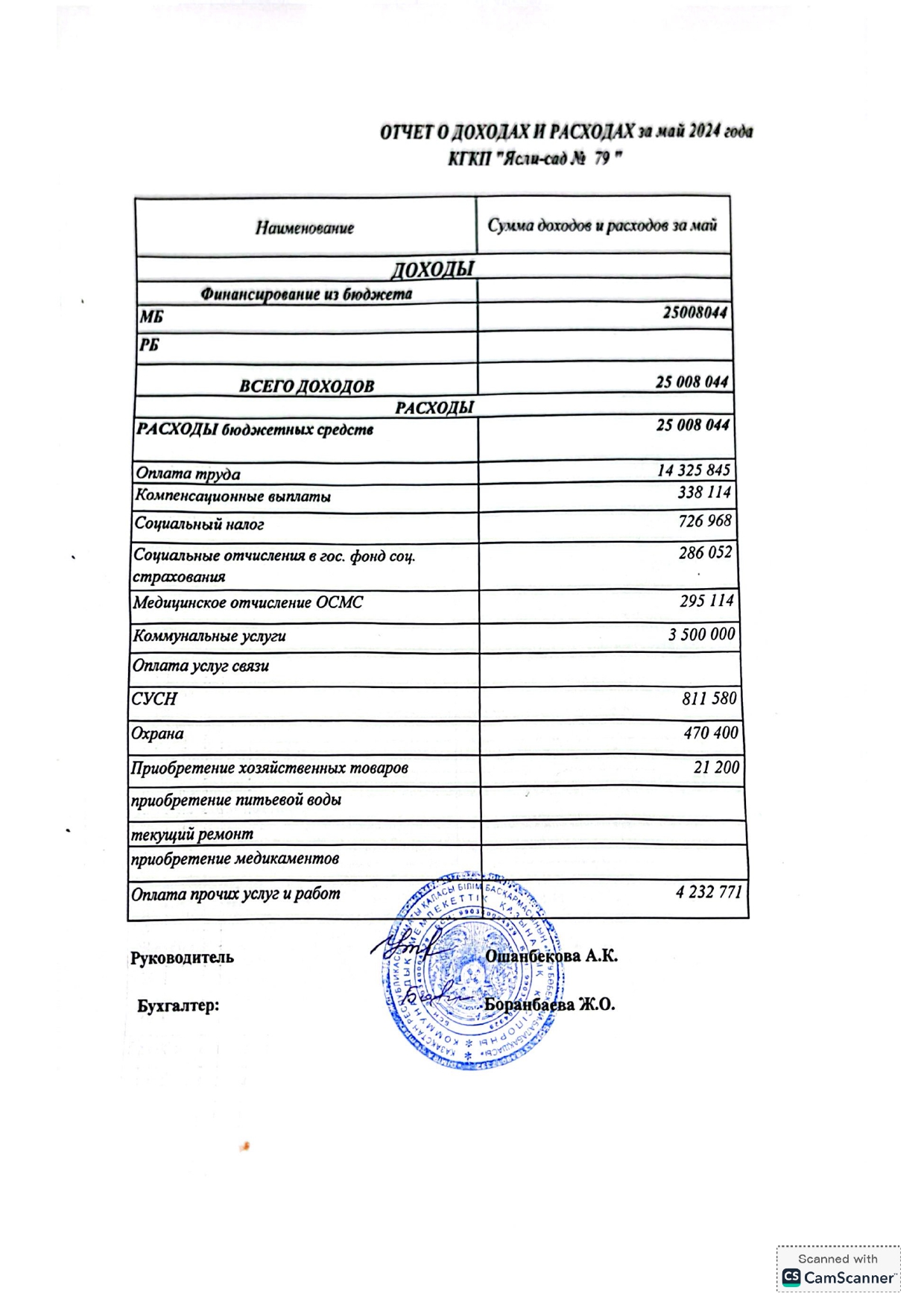 Отчет о доходах и расходах 2024 год