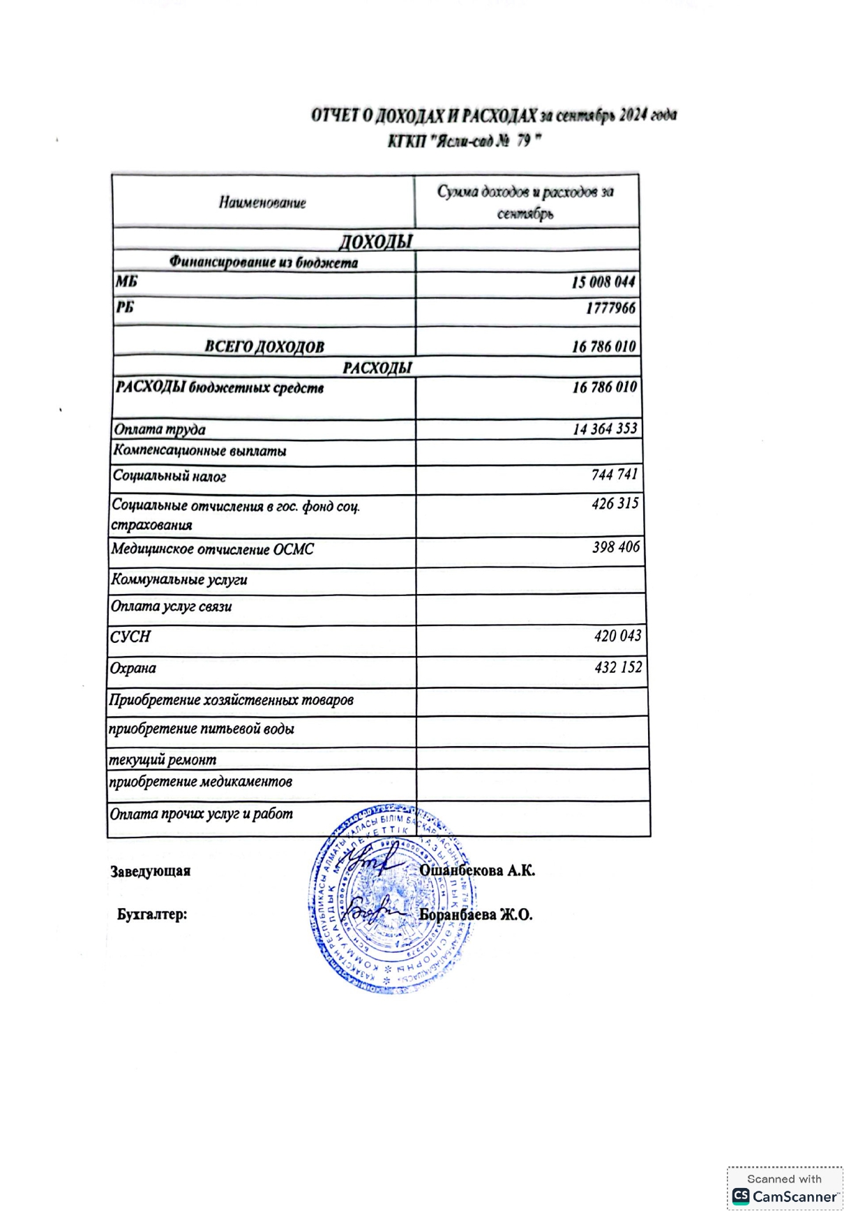 Отчет о доходах и расходах 2024 год