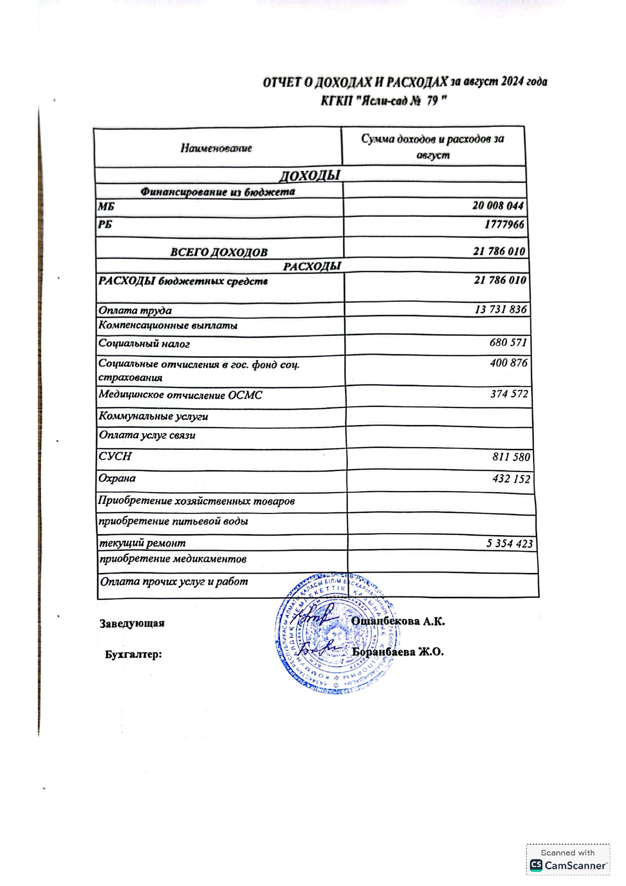Отчет о доходах и расходах 2024 год